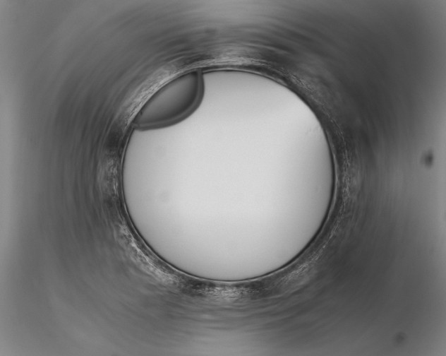 X0000115391177200912011221