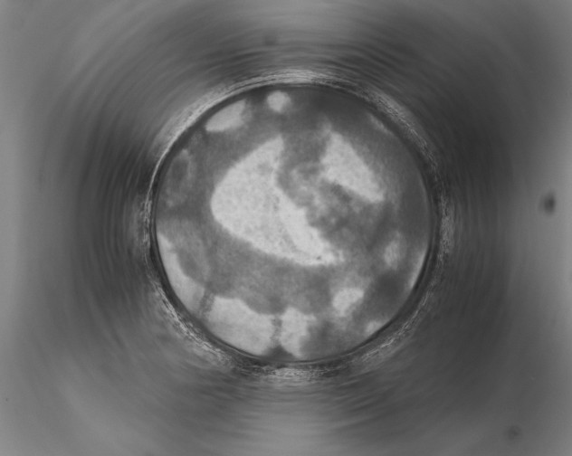 X0000115391178200912011221