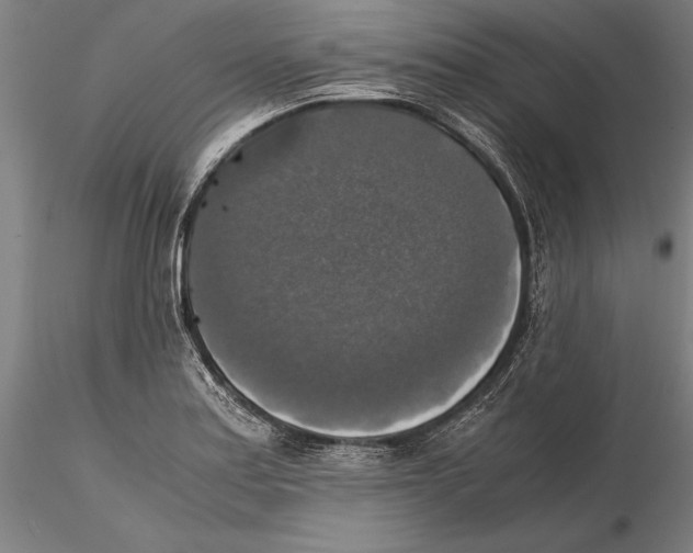 X0000115391179200912011221