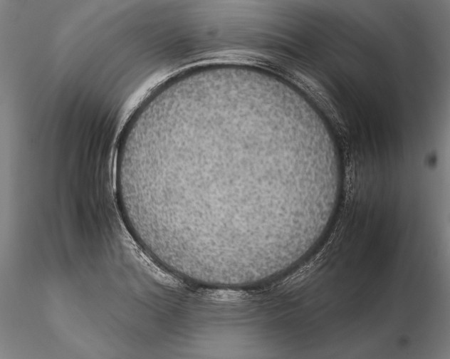 X0000115391180200912011221