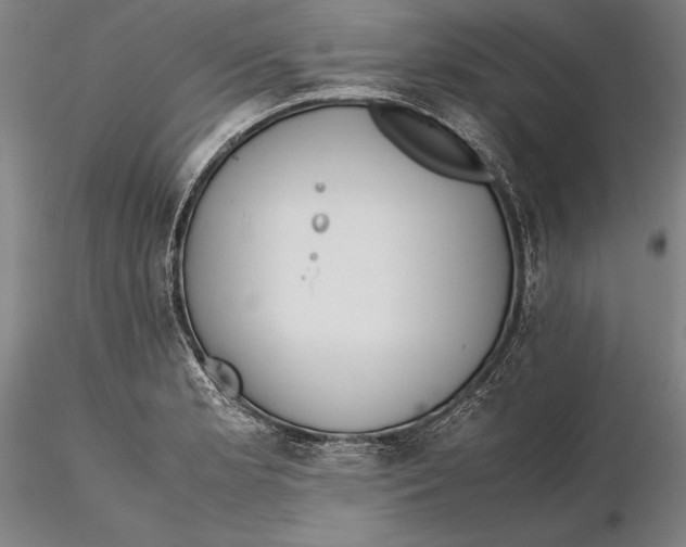 X0000115391181200912011221