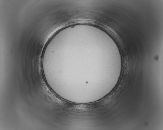 X0000115391182200912011221