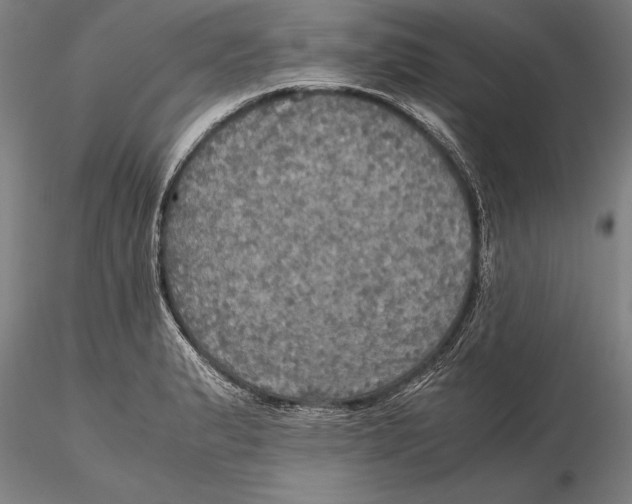 X0000115391183200912011221