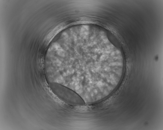 X0000115391185200912011221