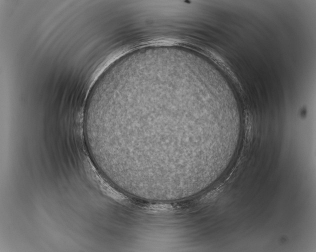 X0000115391186200912011221