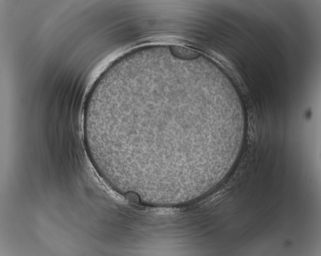 X0000115391188200912011221