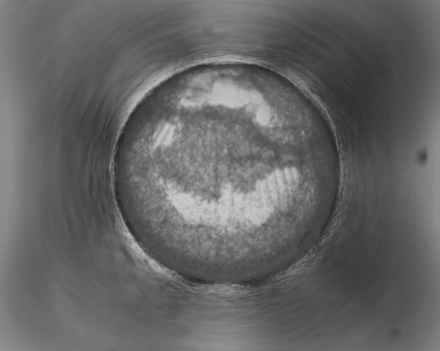 X0000115391189200912011221