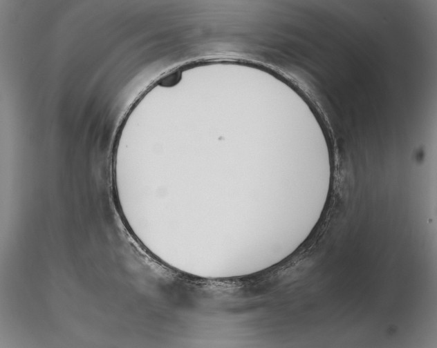 X0000115391191200912011221