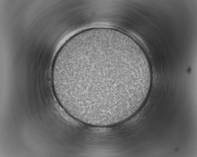 X0000115391192200912011221