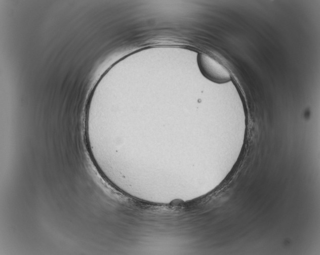 X0000115391195200912011221