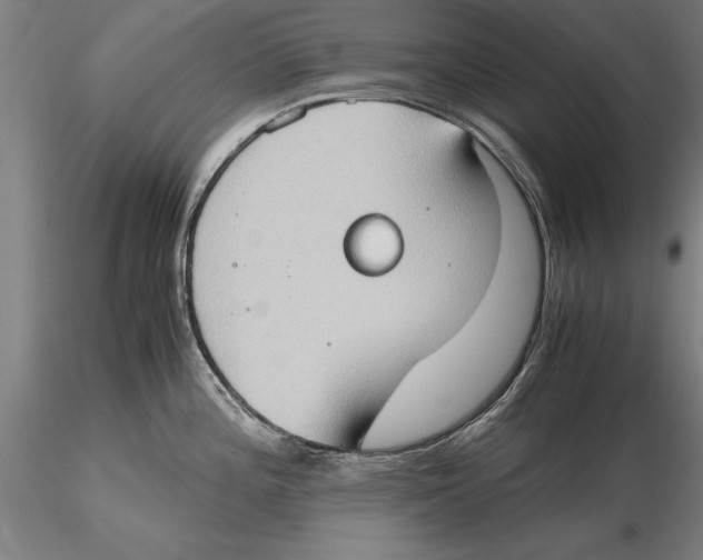 X0000115391196200912011221