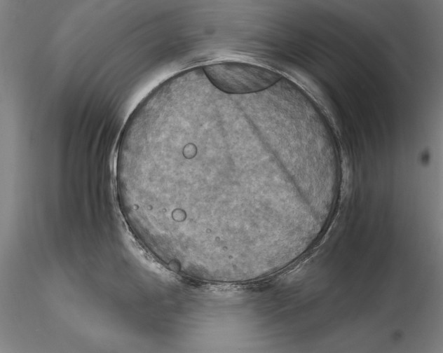 X0000115391198200912011221