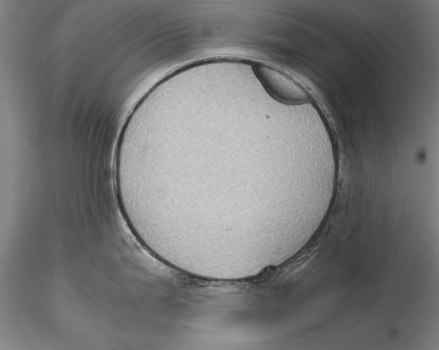 X0000115391199200912011221