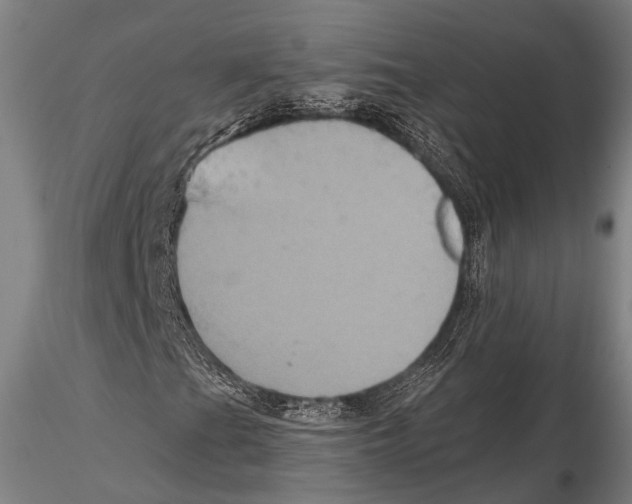 X0000115391201200912011220