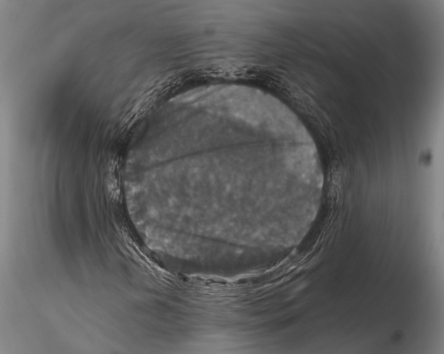 X0000115391202200912011220