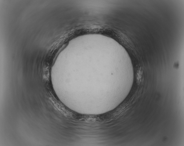 X0000115391204200912011220