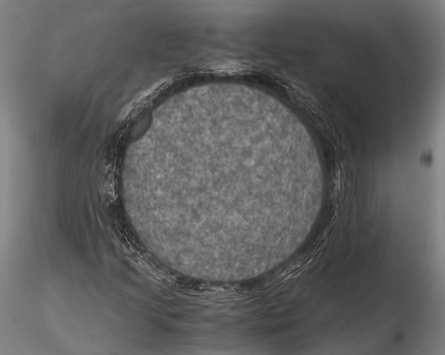 X0000115391205200912011220