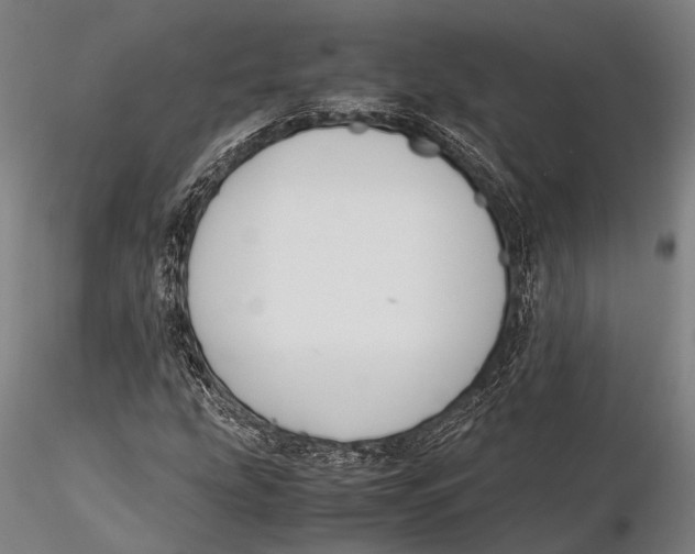 X0000115391207200912011220