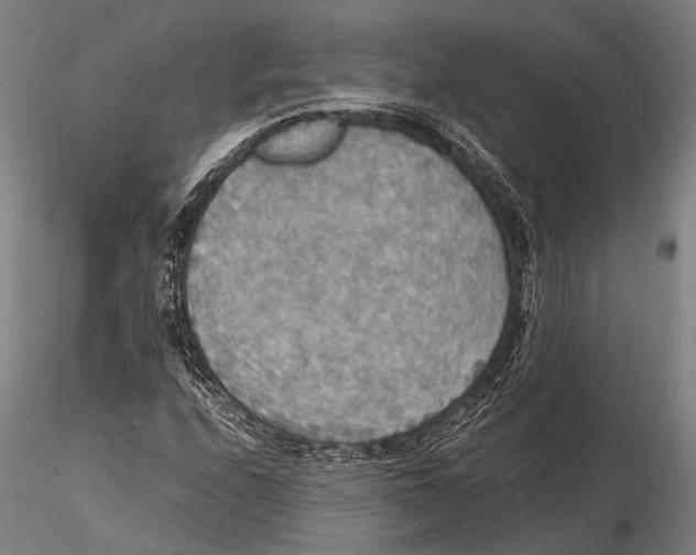 X0000115391208200912011220