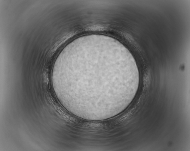 X0000115391209200912011220