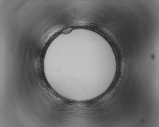 X0000115391210200912011220