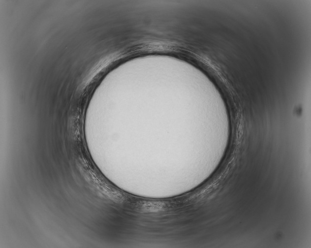 X0000115391211200912011220