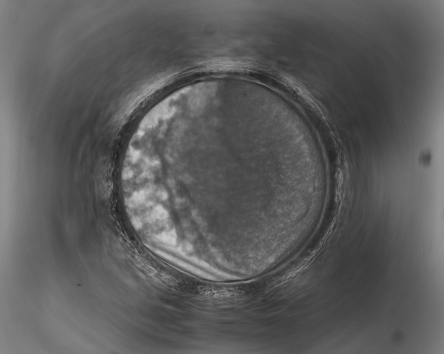 X0000115391213200912011221