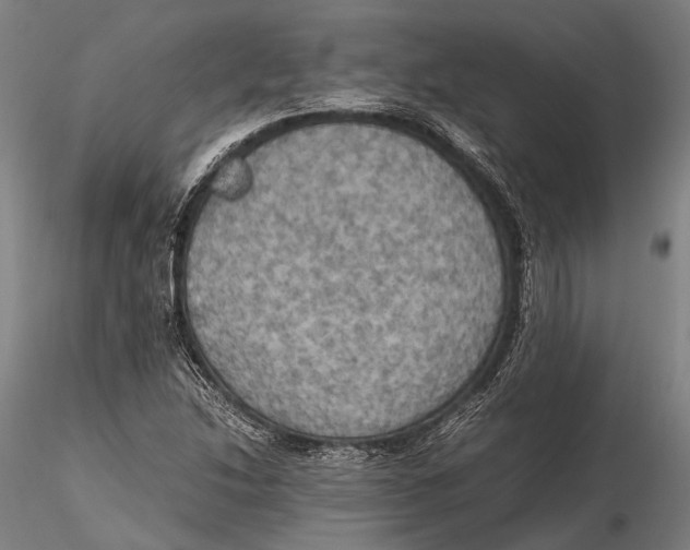 X0000115391214200912011221