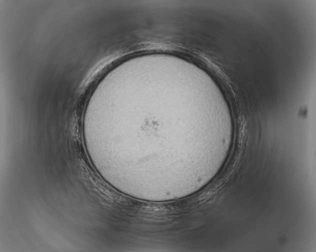 X0000115391215200912011221