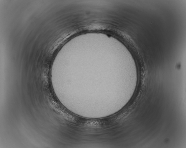 X0000115391217200912011221