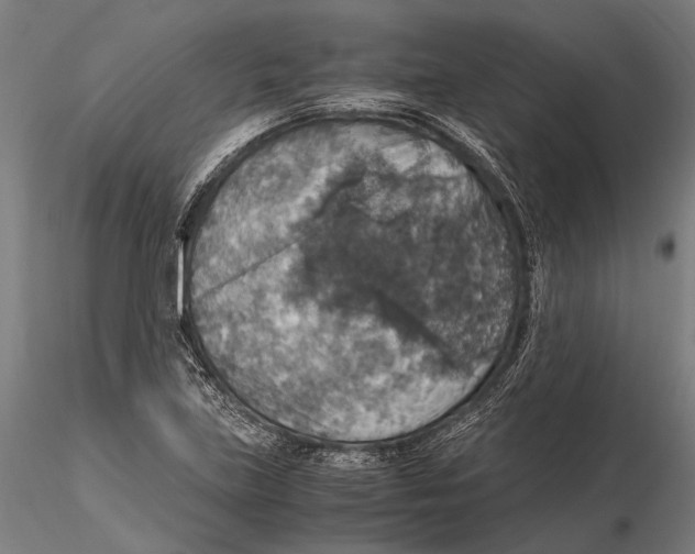 X0000115391219200912011221