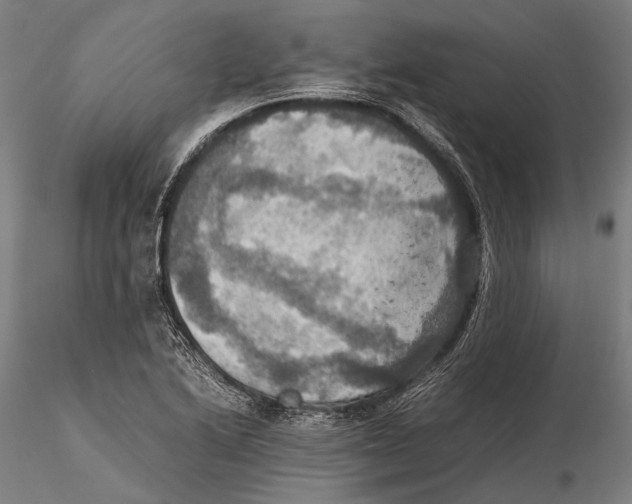 X0000115391222200912011221