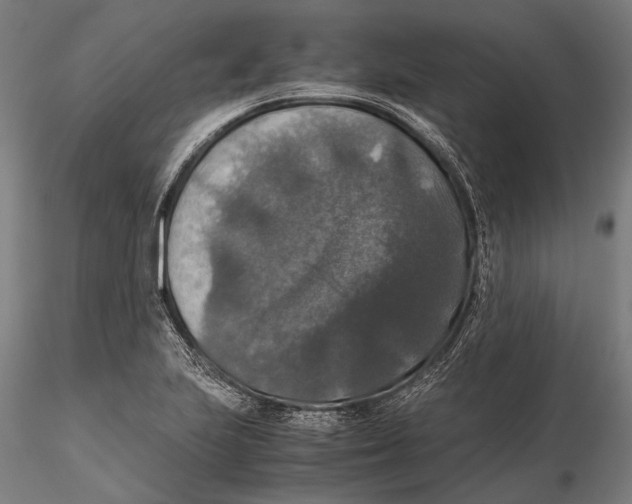 X0000115391223200912011221