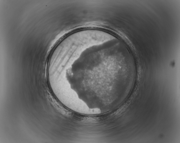 X0000115391224200912011221