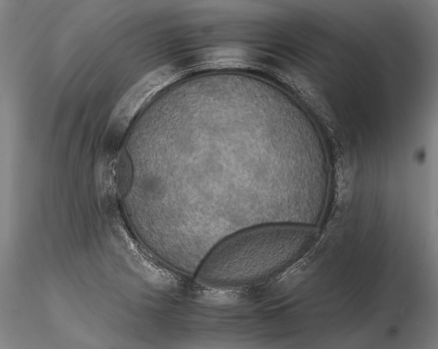 X0000115391225200912011221