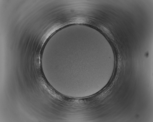 X0000115391226200912011221