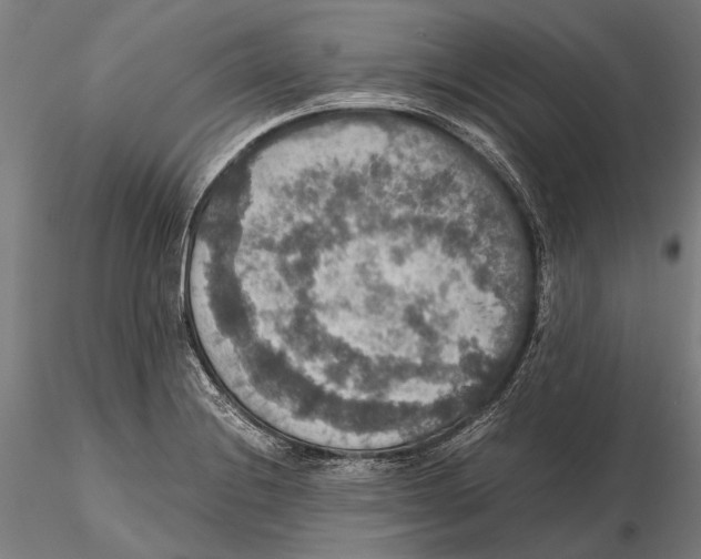 X0000115391228200912011221