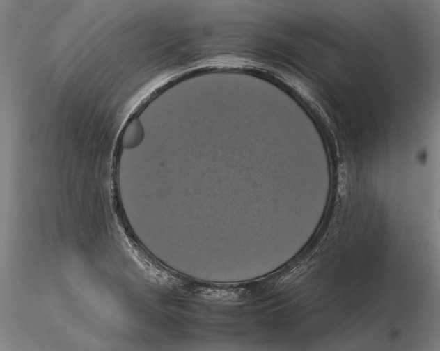 X0000115391229200912011221