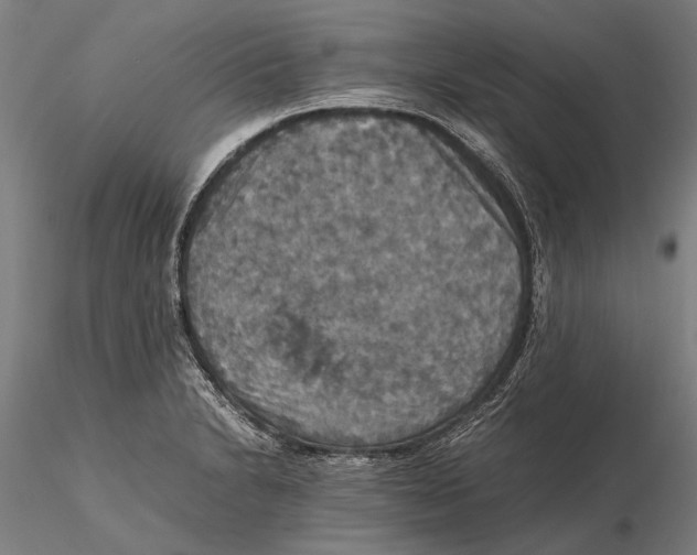 X0000115391230200912011221