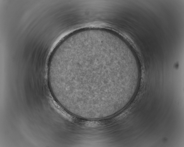 X0000115391232200912011221