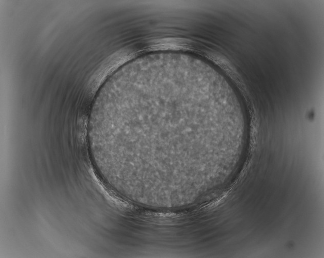 X0000115391233200912011221