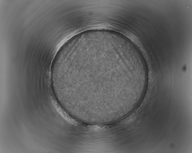 X0000115391234200912011221