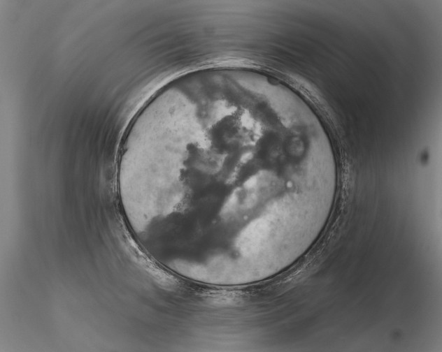 X0000115391236200912011221