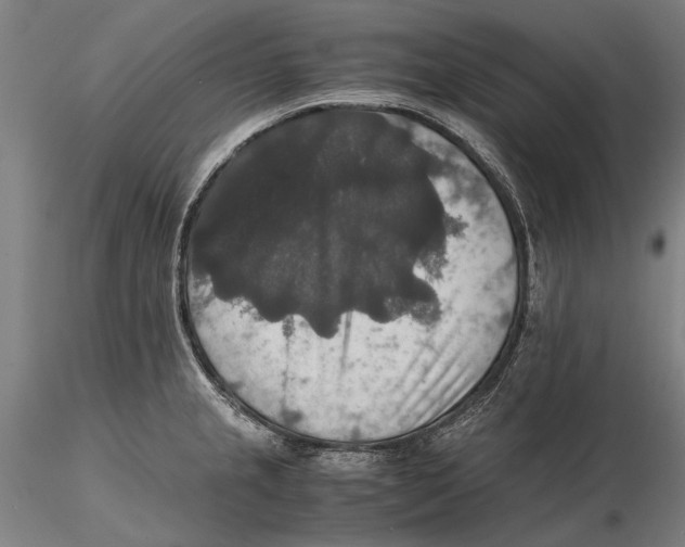 X0000115391237200912011221