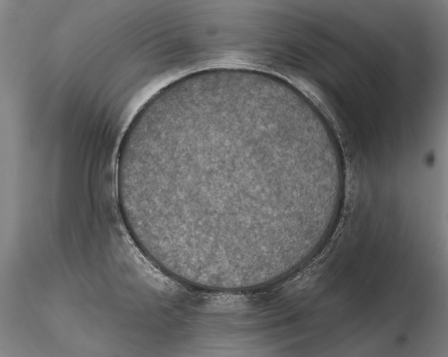 X0000115391238200912011221