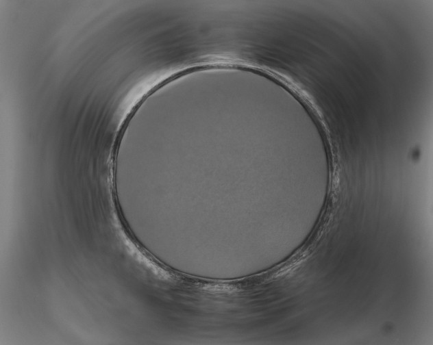 X0000115391239200912011221