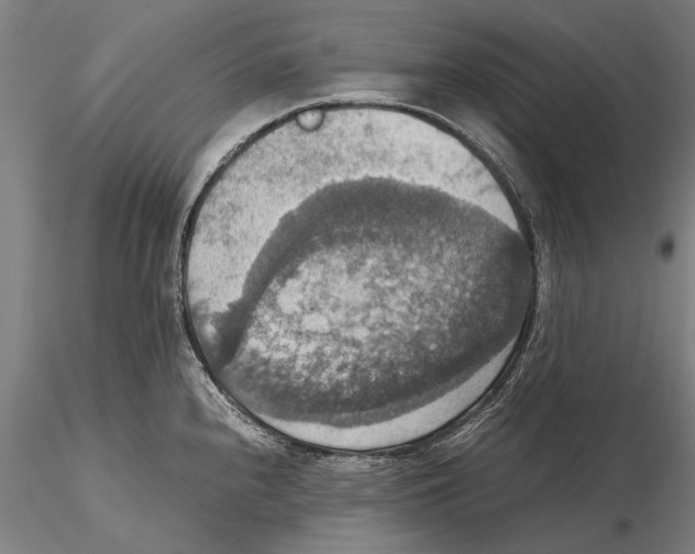 X0000115391240200912011221