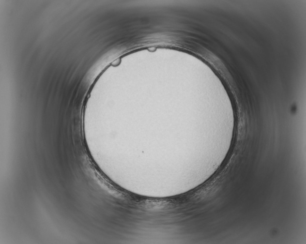 X0000115391242200912011221