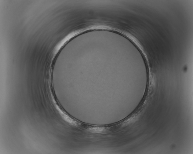 X0000115391245200912011221