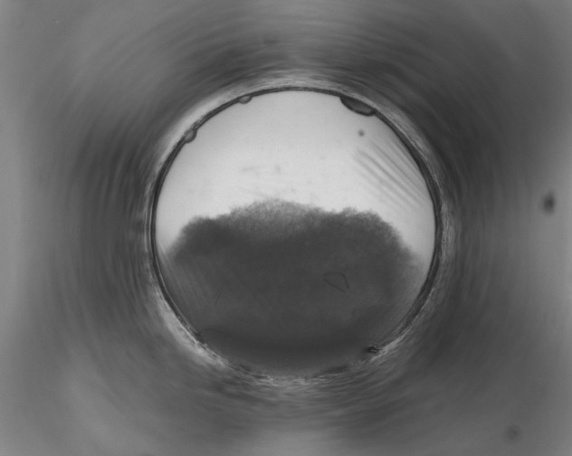 X0000115391246200912011221